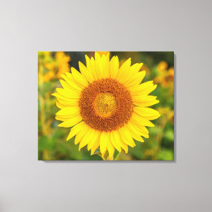 Leinwand Wall Art-Sunflower