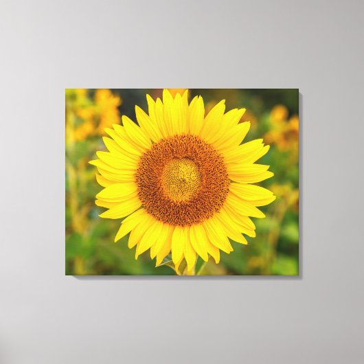 Leinwand Wall Art-Sunflower (Vorderseite)