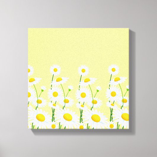Leinwand Wall Art-White Daisies (Vorderseite)