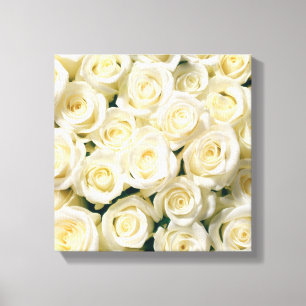 Leinwand Wall Art-White Roses