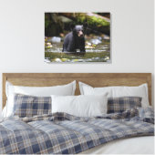 Leinwand Wall Art-Yellowstone Black Bar Cub (Insitu (Schlafzimmer))