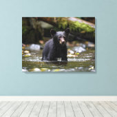 Leinwand Wall Art-Yellowstone Black Bar Cub (Insitu (Holzboden))