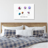 Leinwand Weiße Blutkörperchen Leukozyten Diagramm (Insitu (Schlafzimmer))