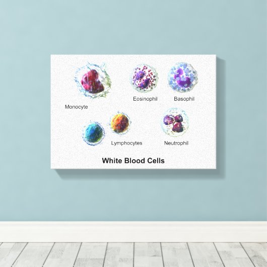 Leinwand Weiße Blutkörperchen Leukozyten Diagramm (Insitu (Holzboden))