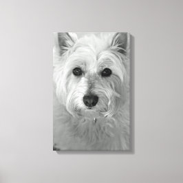 Leinwand Westie Dog (West Highland White Terrier)