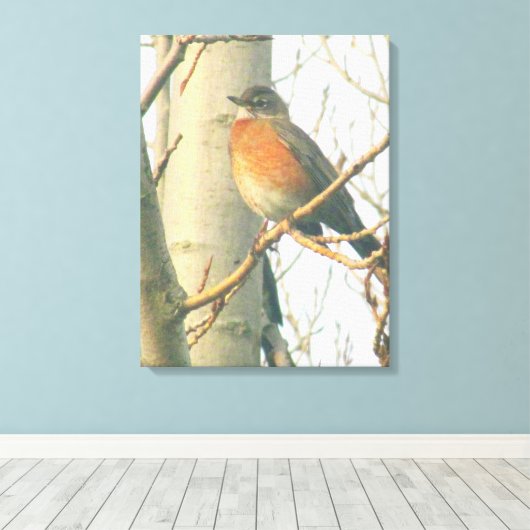 Leinwand - Winter Robin auf Zweig (Insitu (Holzboden))