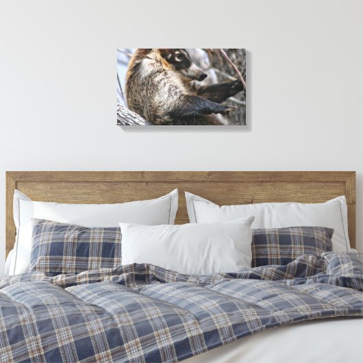 Leinwand Wrap: Coatimundi #3 (Insitu (Schlafzimmer))