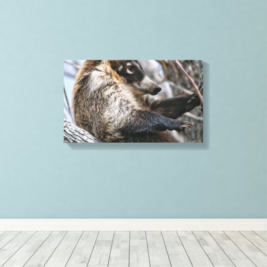 Leinwand Wrap: Coatimundi #3 (Insitu (Holzboden))