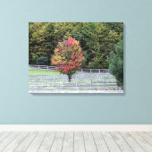 LEINWAND WRAP DRUCKER/MULTIFARBENER BAUM IM FELD (Insitu (Holzboden))