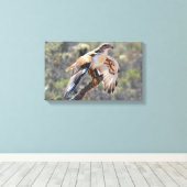Leinwand Wrap: Ferruginous Hawk (Insitu (Holzboden))