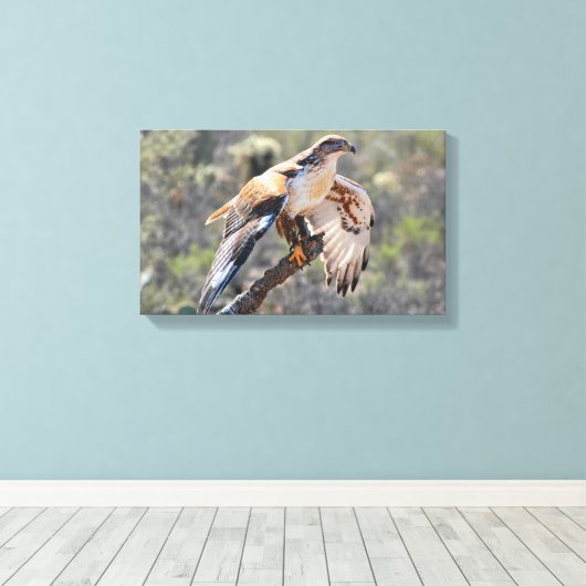 Leinwand Wrap: Ferruginous Hawk (Insitu (Holzboden))