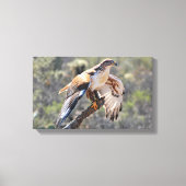Leinwand Wrap: Ferruginous Hawk (Vorderseite)