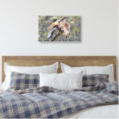 Leinwand Wrap: Ferruginous Hawk (Insitu (Schlafzimmer))
