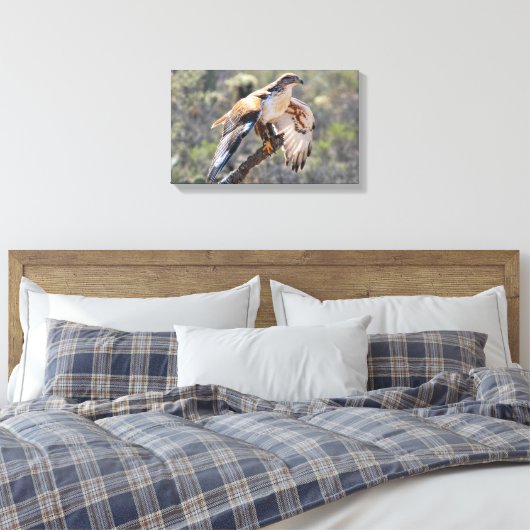 Leinwand Wrap: Ferruginous Hawk (Insitu (Schlafzimmer))