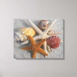 Leinwand zum tropischen Seashell/Starfish Weißer S