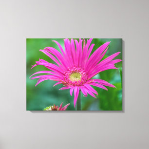 Leinwand zur Blume in hellrosa