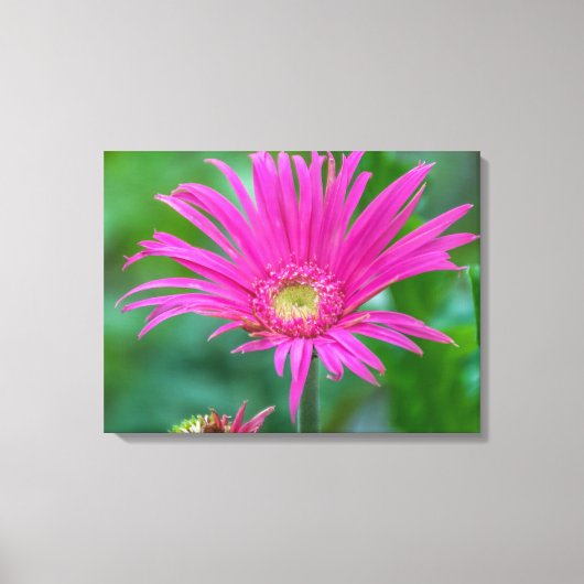 Leinwand zur Blume in hellrosa (Vorderseite)