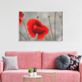 Leinwanddruck Der rote Mohn (Insitu (Wohnzimmer))