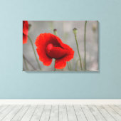 Leinwanddruck Der rote Mohn (Insitu (Holzboden))