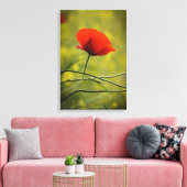 Leinwanddruck - Einzelne Mohnblume in Blüte (Insitu (Wohnzimmer))