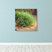 Leinwanddruck (Frischer Dill) (Insitu (Holzboden))