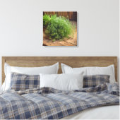 Leinwanddruck (Frischer Dill) (Insitu (Schlafzimmer))
