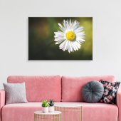 Leinwanddruck - Gänseblümchen-Blume (Insitu (Wohnzimmer))