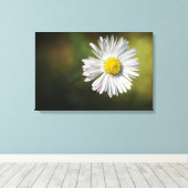 Leinwanddruck - Gänseblümchen-Blume (Insitu (Holzboden))