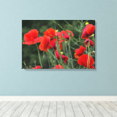 Leinwanddruck Mohn Florale Fotografie (Insitu (Holzboden))