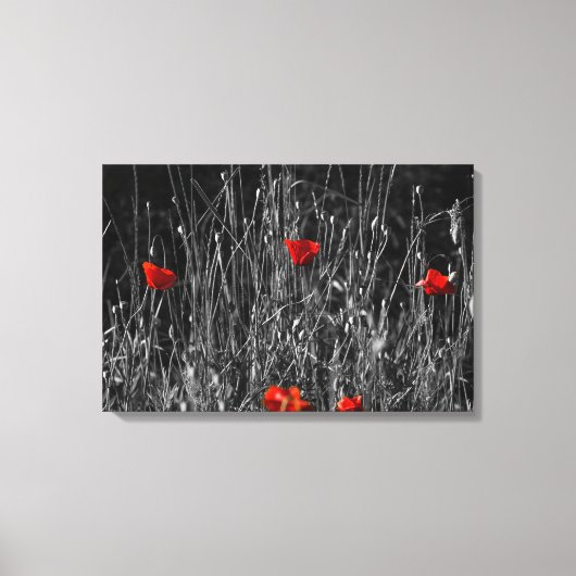 Leinwanddruck - Rote Einsamkeit Mohn (Vorderseite)