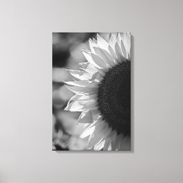 Leinwanddruck Sonnenblume auf dem Feld SW