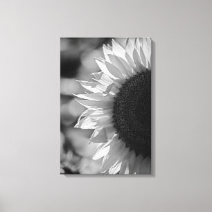 Leinwanddruck Sonnenblume auf dem Feld SW