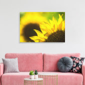 Leinwanddruck Sonnenblume Eleganz (Insitu (Wohnzimmer))