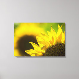Leinwanddruck Sonnenblume Eleganz