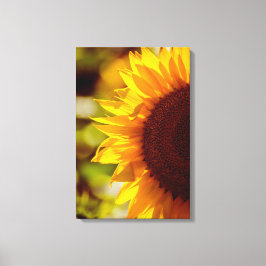 Leinwanddruck Sonnenblume Floral Naturfotografie
