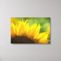 Leinwanddruck Sonnenblume Florale Fotografie