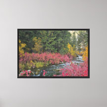 Leinwanddruck Stream Blooms gestreckt