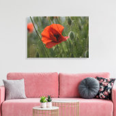 Leinwanddruck - Wilder roter Mohn (Insitu (Wohnzimmer))