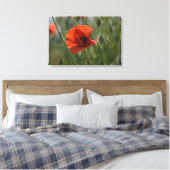 Leinwanddruck - Wilder roter Mohn (Insitu (Schlafzimmer))