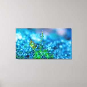 Leinwandkunst - Gras mit Wassertropfen Leinwanddruck
