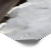 Leisa, Frau Dezember 2008 Poster (Ecke)