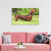 leise Dackel Leinwanddruck (Insitu (Wohnzimmer))