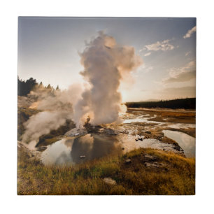 Leisten-Geysir, Norris Geysir-Becken Fliese