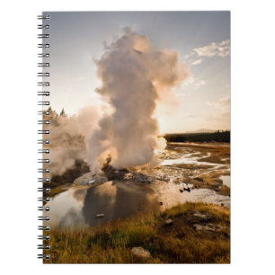 Leisten-Geysir, Norris Geysir-Becken Notizblock