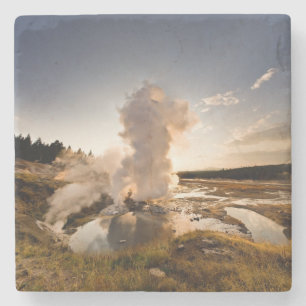 Leisten-Geysir, Norris Geysir-Becken Steinuntersetzer