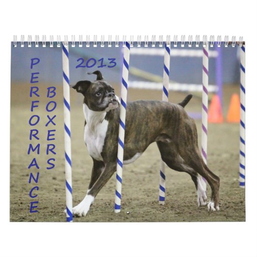 Leistungs-Boxer-Kalender 2013 Kalender (Titelbild)