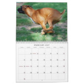 Leistungs-Boxer-Kalender 2013 Kalender (Feb 2027)