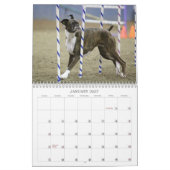 Leistungs-Boxer-Kalender 2013 Kalender (Jan 2027)