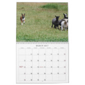 Leistungs-Boxer-Kalender 2013 Kalender (Mär 2027)