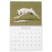 Leistungs-Boxer-Kalender 2013 Kalender (Feb 2027)